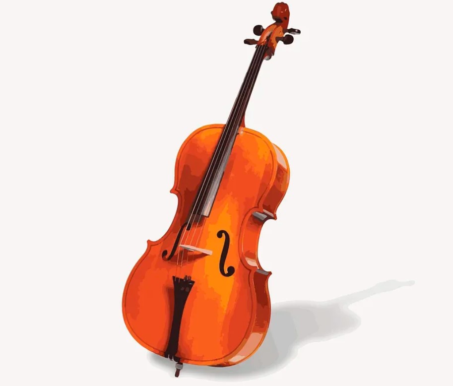 How Big Is A Cello?